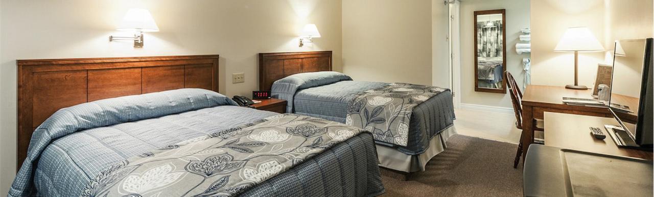 הליפקס Chebucto Inn מראה חיצוני תמונה
